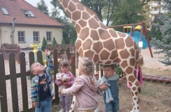 IMG20240909093212 